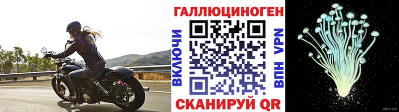 Галлюциногенные грибы GOLDEN TEACHER  Буинск 
